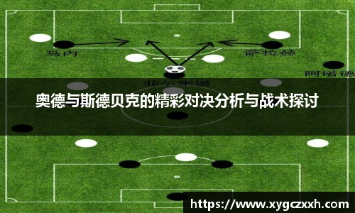 ld乐动最新地址