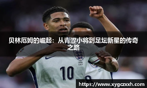 ld乐动最新地址